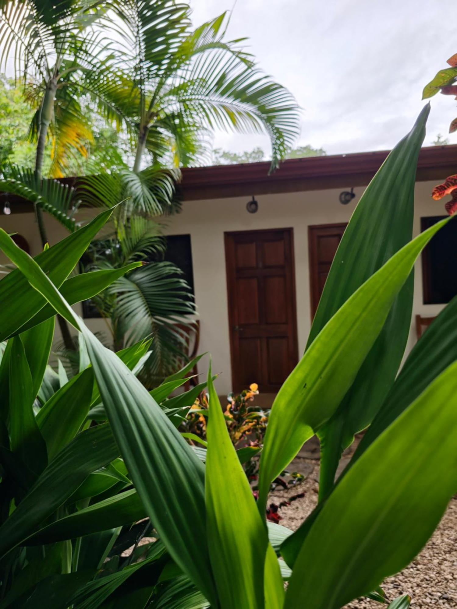 Buddha Retreat Hotel San Juanillo Екстериор снимка