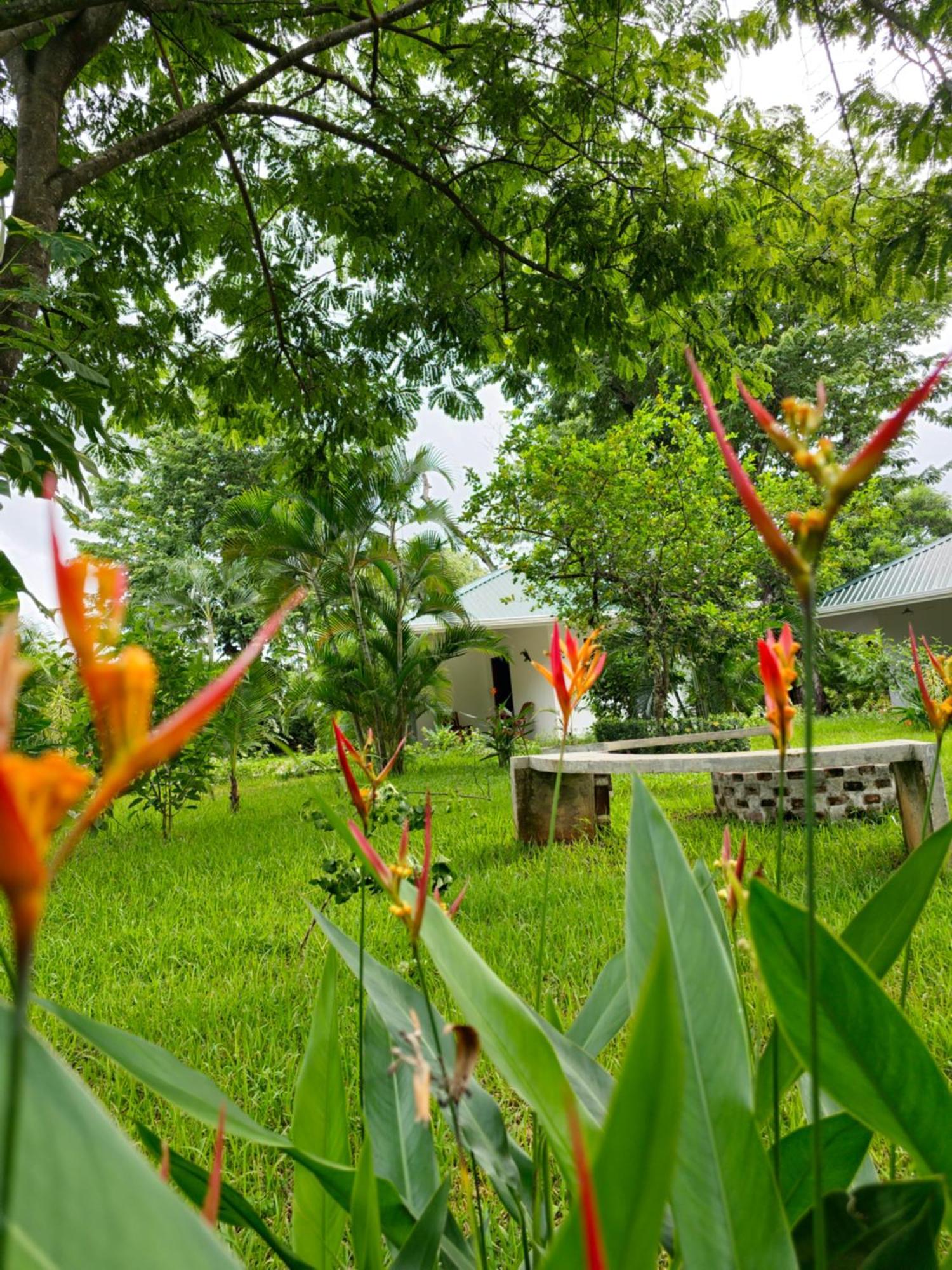 Buddha Retreat Hotel San Juanillo Екстериор снимка