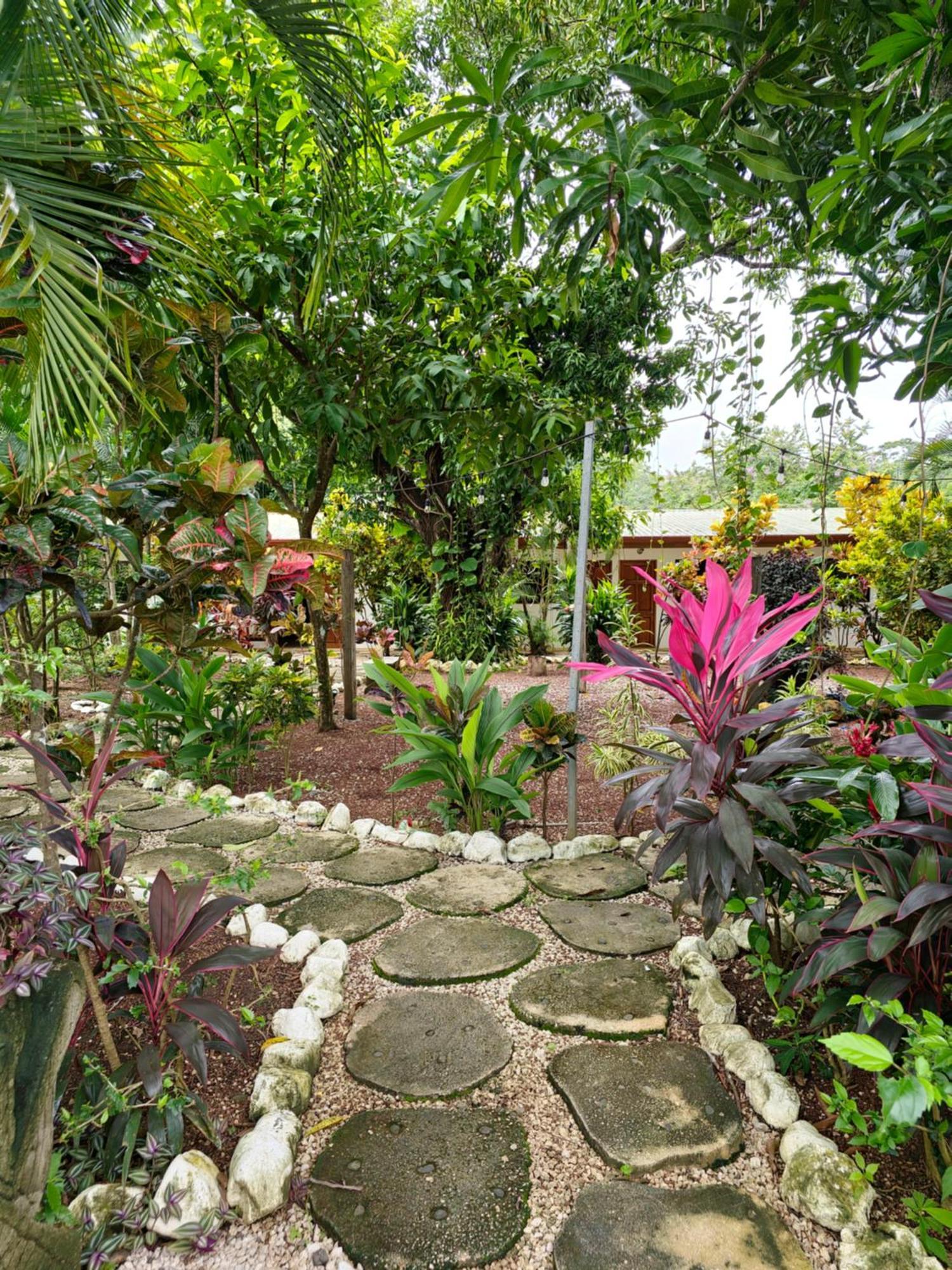 Buddha Retreat Hotel San Juanillo Екстериор снимка